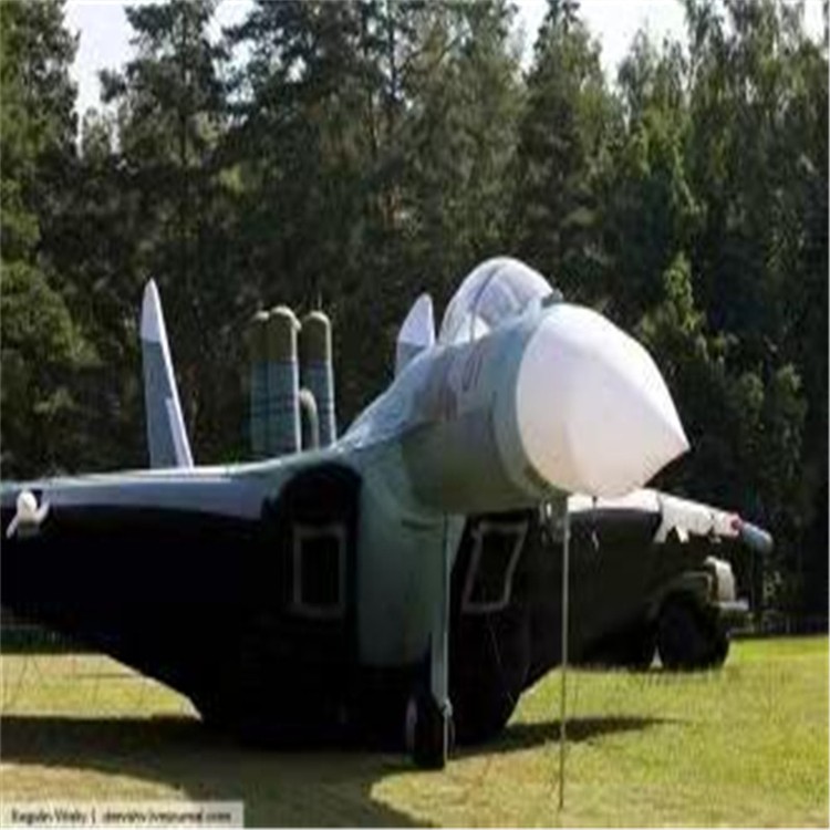 芜湖充气模型飞机制造商家